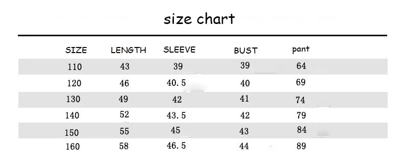 2024 New Boys Clothes Sport Suit Casual Sets Autumn Letter Children Winter Kids Tracksuit Spring + pants 5 6 7 8 9 10 11 12 year