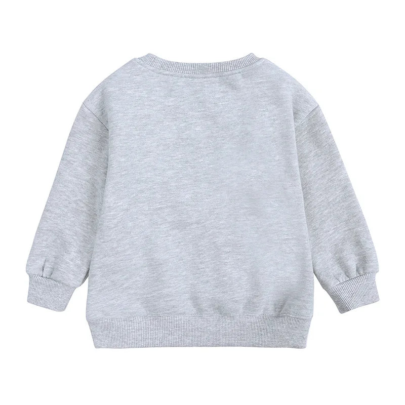 Autumn Winter Essential Baby Boys Girls Children's Clothing Warm Fleece Outerwear Solid Sweatshirt Tops for Kids Jacket Pullover