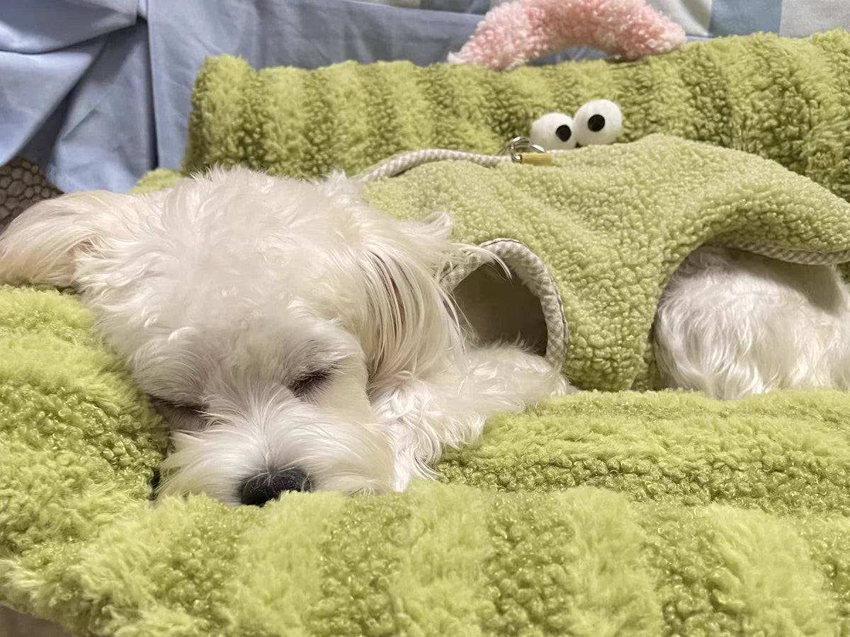 Puppy special sofa kennel winter warm pet Internet celebrity cat nest small dog dog sleeping mat cushion winter bed