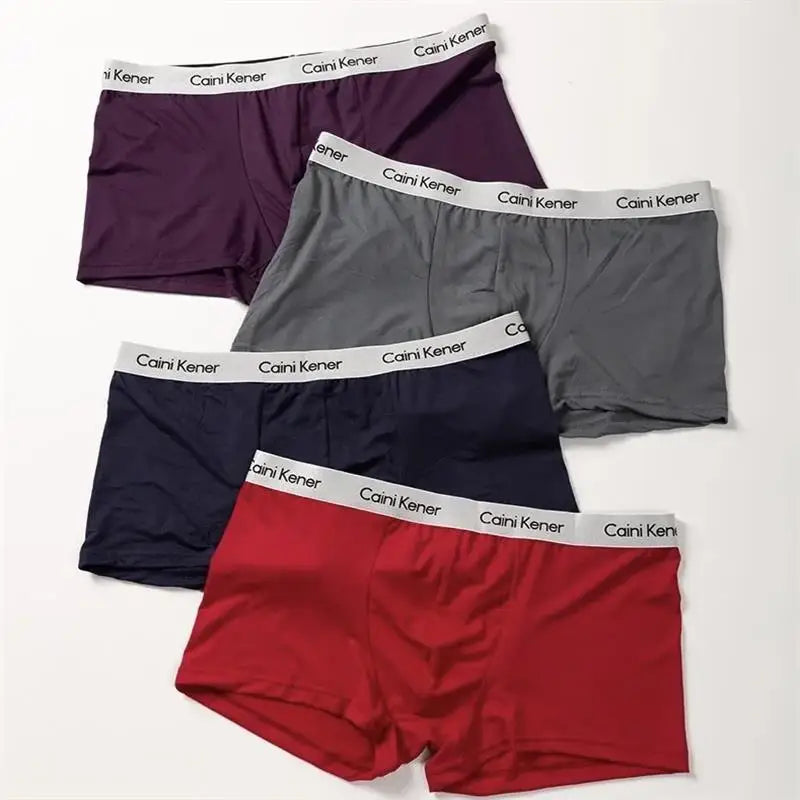 Men's Brand Underwear Sexy Shorts Soft High Stretch Fabric Breathable Anti-bacterial 3D Bag Hip Lift Solid Color Men Underwear
