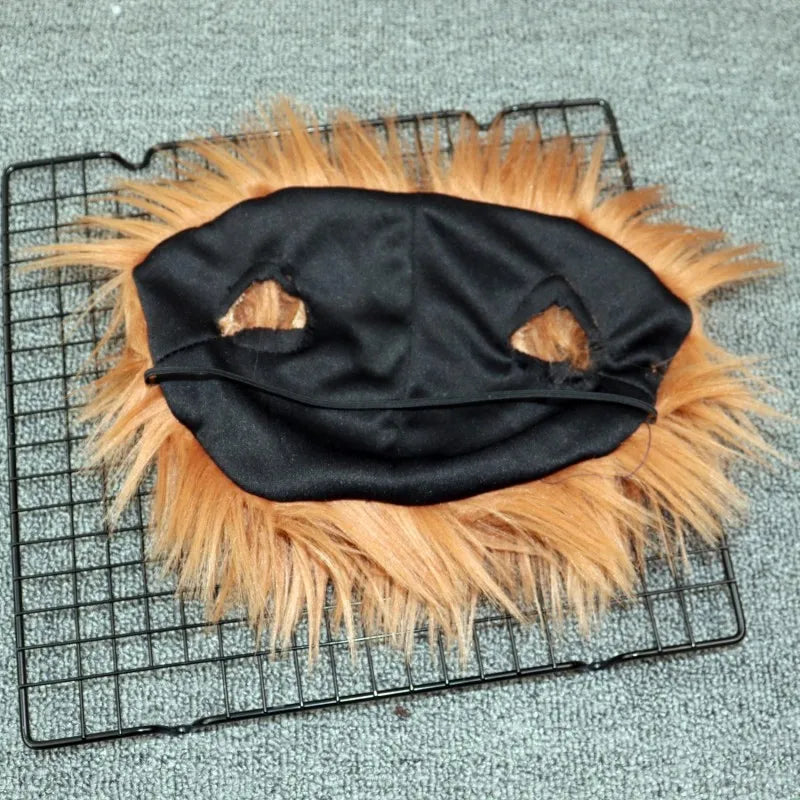 Small and Medium Sized Pet Dog Funny Clothes Cosplay Fatal Dolls Henshin Outfit Wig Upright Scary Costume Halloween Gatherings