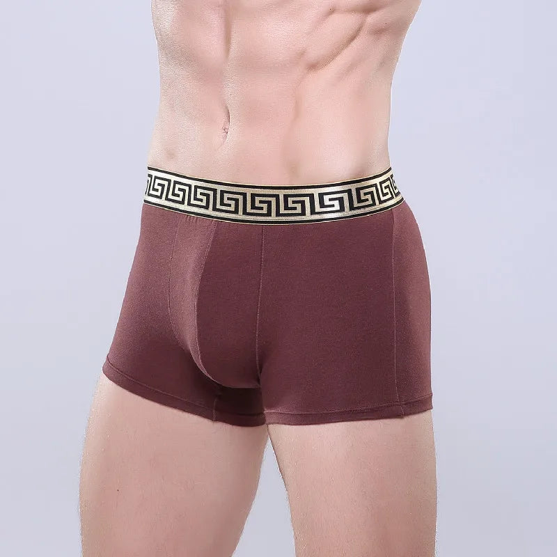 New Men's Modal Boxer Briefs Underpants Elephant Trunk Separated Underwear Bullet Separated Comfortable Breathable Sexy Panties