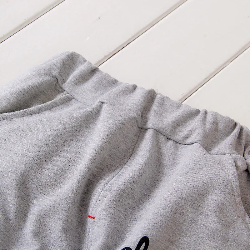 Kids Thinner Clothes Sets Spring Autumn Tracksuit Baby Boys Kid Long Sleeve Gentleman Suits Children T Shirt Pants Clothing Sets