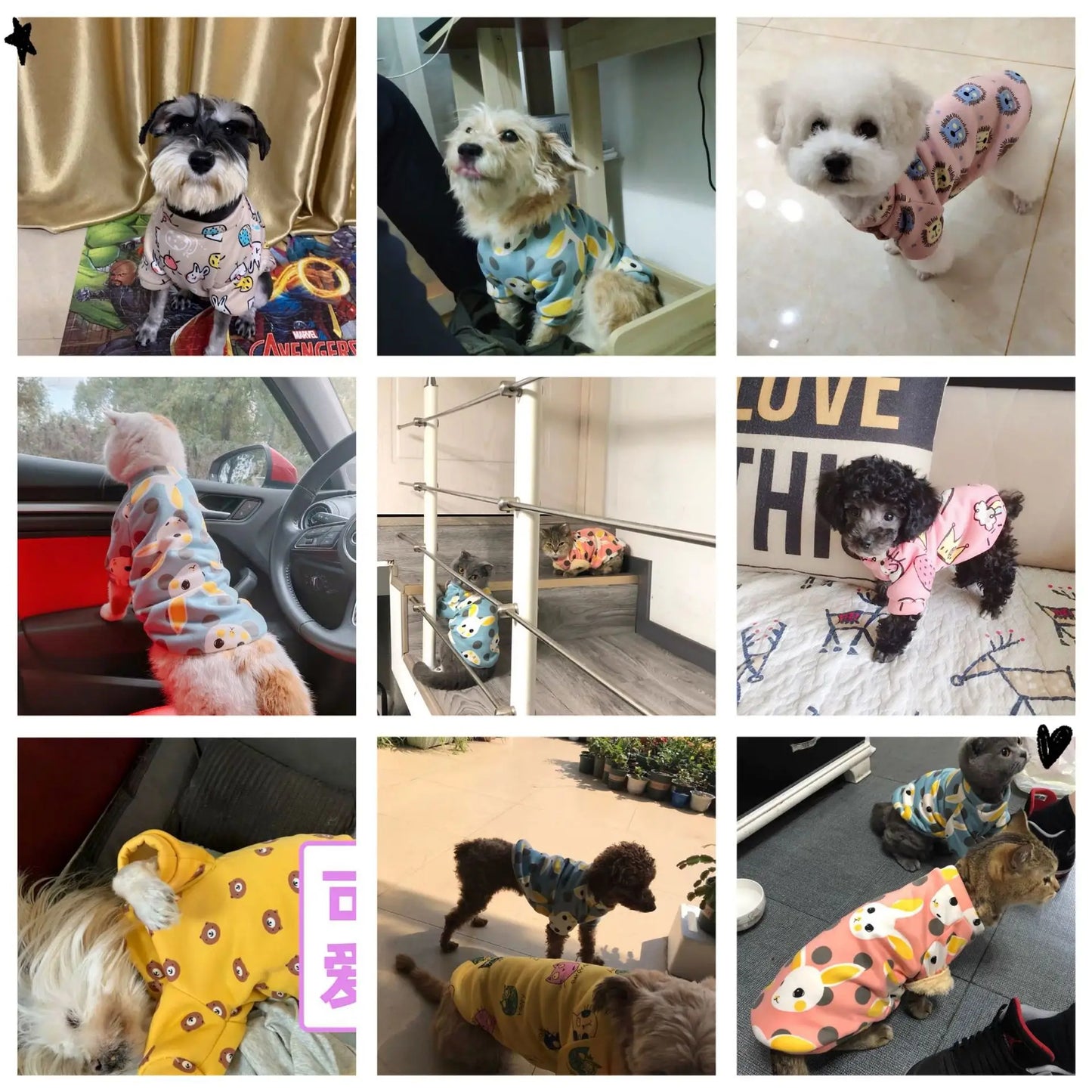 Chihuahua Dog Sweatshirt Puppy Cat Pullover Dogs Small Dog Hoodie Coat Winter Warm Pet Clothes for Bulldog