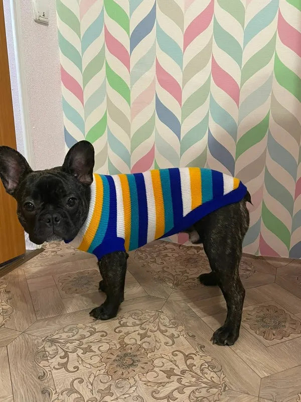Warm Pet Dog Sweater Winter Dog Clothes for Small Medium Dogs Knitted Puppy Cat Coat Chihuahua French Bulldogs Yorkie Customes