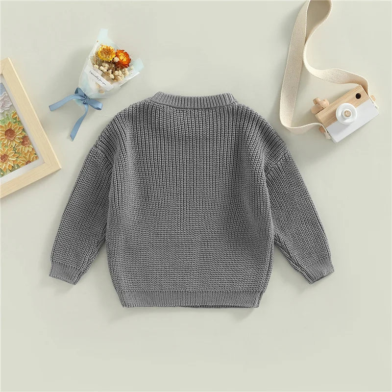 Suefunskry Newborn Baby Girl Boy Knitted Long Sleeve Autumn Winter Sweater Solid Loose Pullover Casual Tops Kids Clothes 3M-5Y