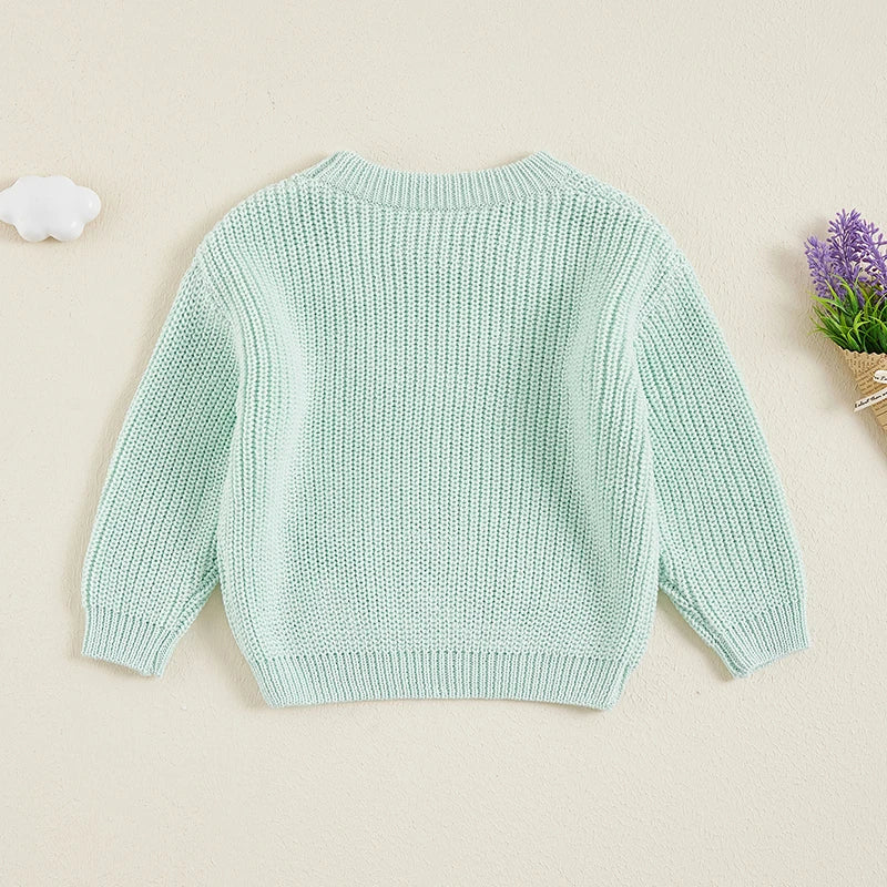 Cute Toddler Unisex Cable Knit Sweater Warm Cozy Round Neck Long Sleeve Pullover Jumper for Autumn Winter Season