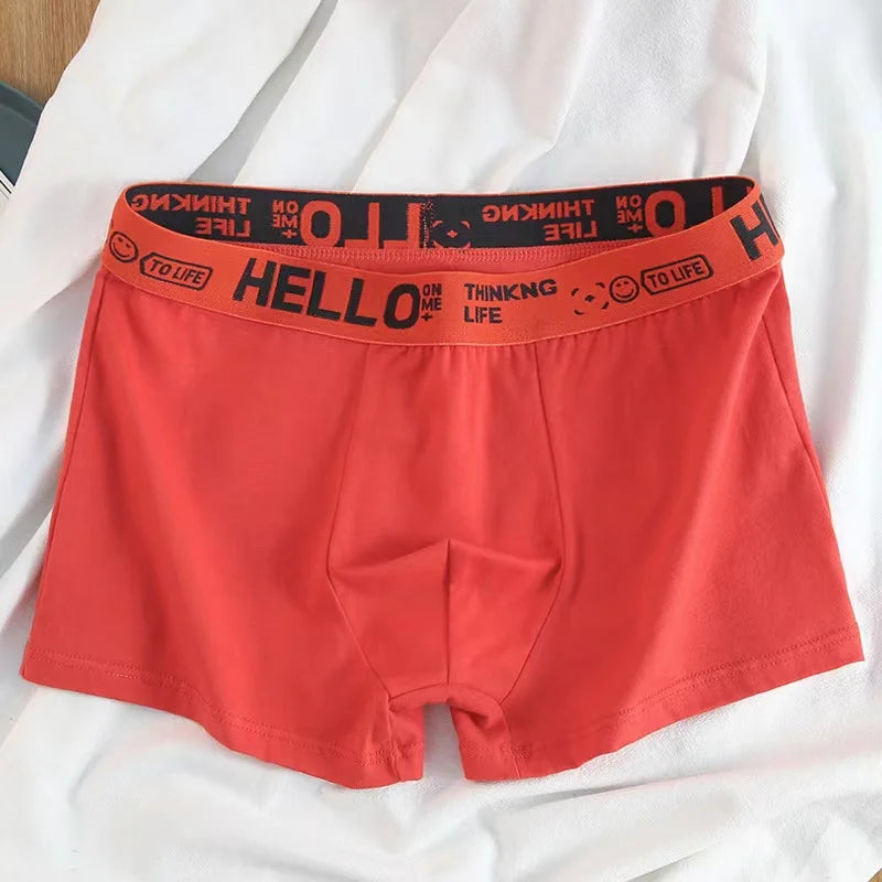 10Pcs/Men's Underwear Fashion Underwear High Stretch Boxer Shorts Breathable Soft Men's Shorts Comfortable Plus SizeL-4XL