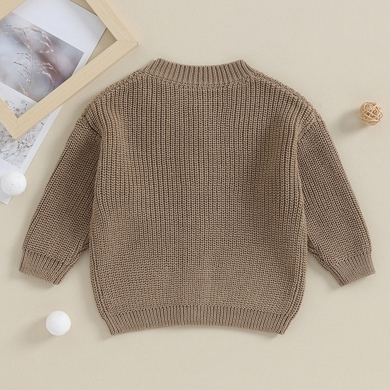 Suefunskry Baby Boys Girls Autumn Winter Knitted Sweater Long Sleeve Solid Color Single-breasted Knitwear Cardigan Jacket