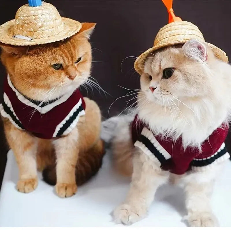 Winter Warm Pet Dog Sweater College Style V-neck Puppy Knitwear For Small Dogs Puppy Vest Clothes Kitty Jacket Outfits