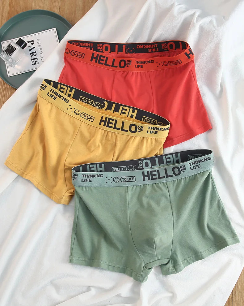 10Pcs/Men's Underwear Fashion Underwear High Stretch Boxer Shorts Breathable Soft Men's Shorts Comfortable Plus SizeL-4XL