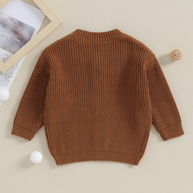 Suefunskry Baby Boys Girls Autumn Winter Knitted Sweater Long Sleeve Solid Color Single-breasted Knitwear Cardigan Jacket