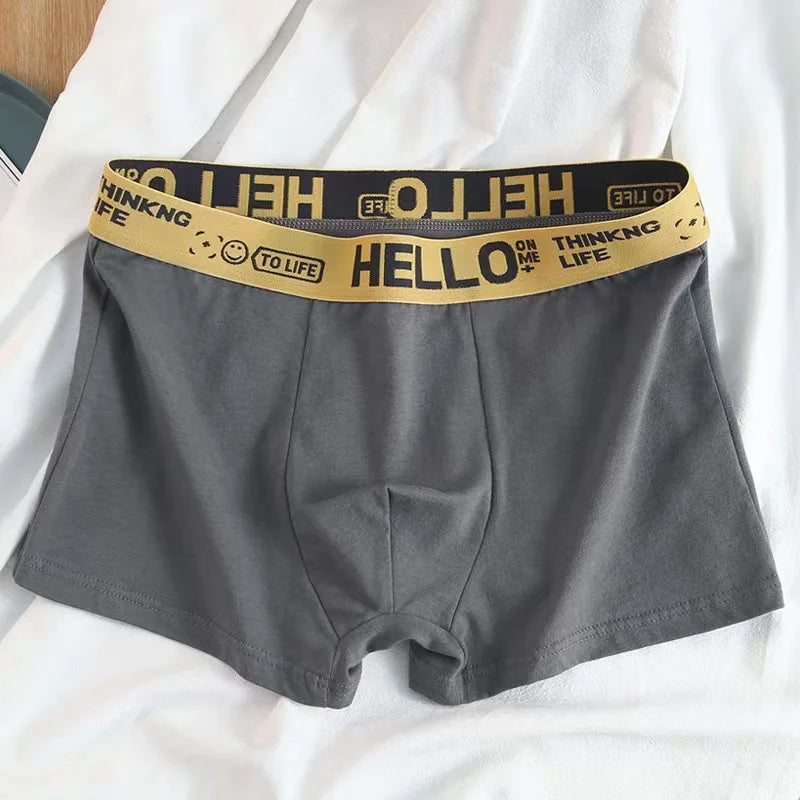10Pcs/Men's Underwear Fashion Underwear High Stretch Boxer Shorts Breathable Soft Men's Shorts Comfortable Plus SizeL-4XL