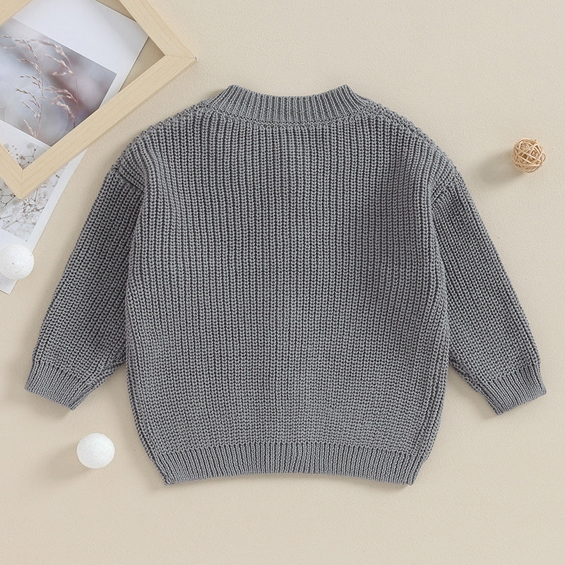 Suefunskry Baby Boys Girls Autumn Winter Knitted Sweater Long Sleeve Solid Color Single-breasted Knitwear Cardigan Jacket